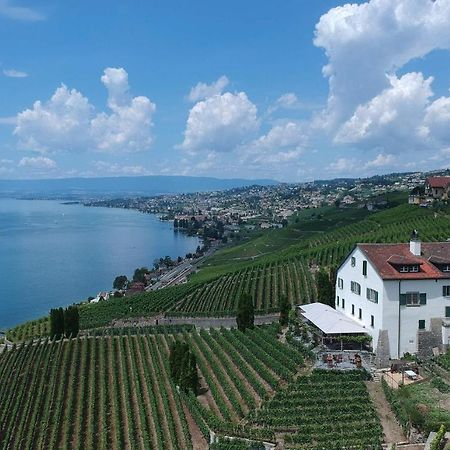 Domaine De La Crausaz غراندفو المظهر الخارجي الصورة